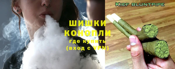 твердый Нягань