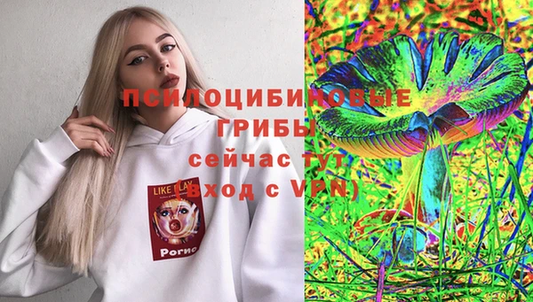 твердый Нягань