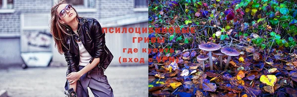 бутират Няндома