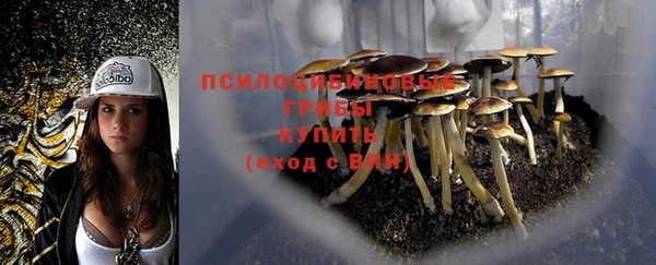 твердый Нягань