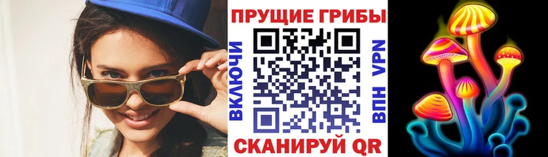 Галлюциногенные грибы MAGIC MUSHROOMS  Купить где  Ачхой-Мартан 